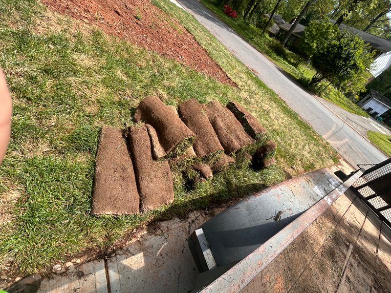 Sod Installation