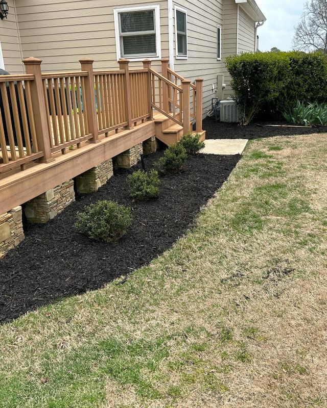 Lawn Maintenance