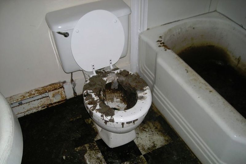Sewage Backup