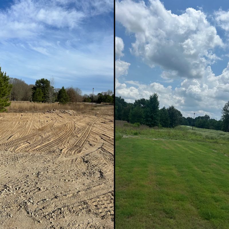 Before and After
