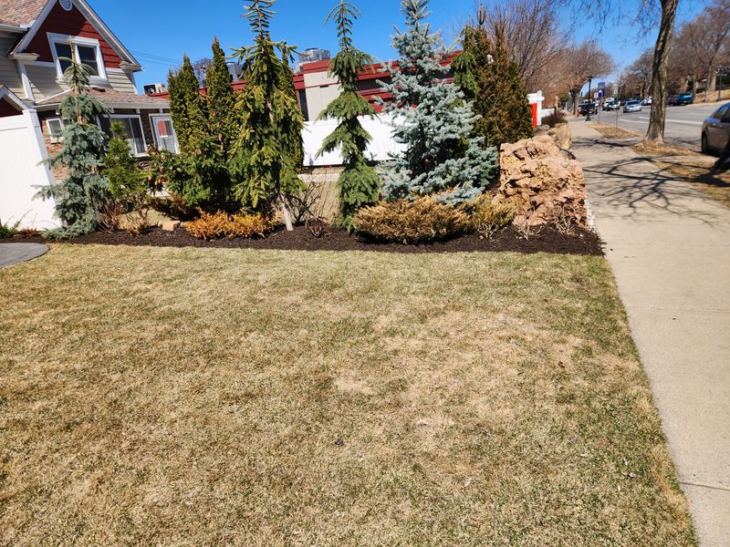 Landscaping 