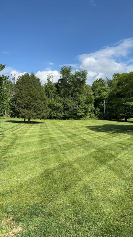 Landscaping 