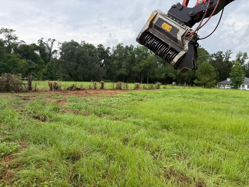Land Clearing