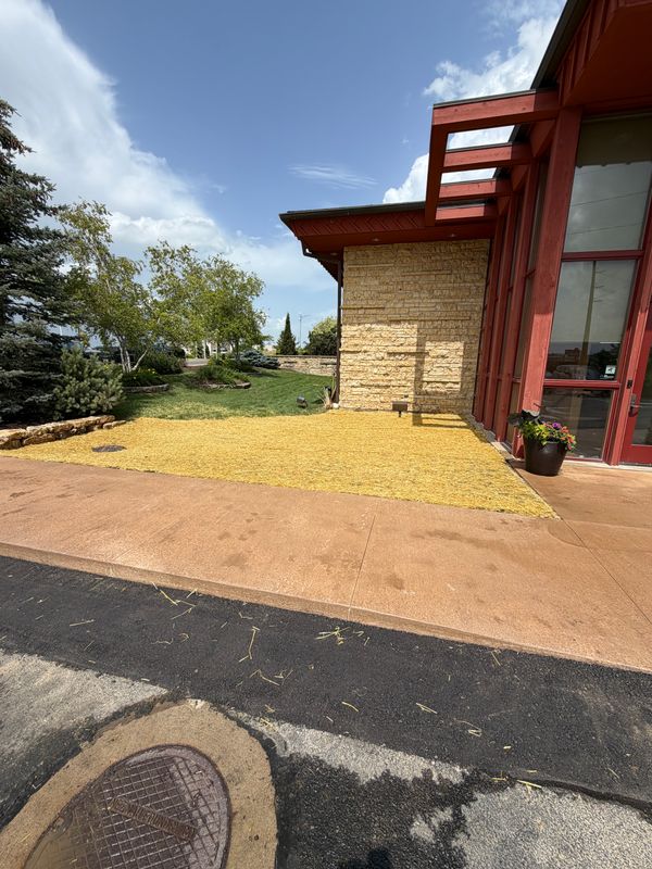 Stamped Concrete Installation