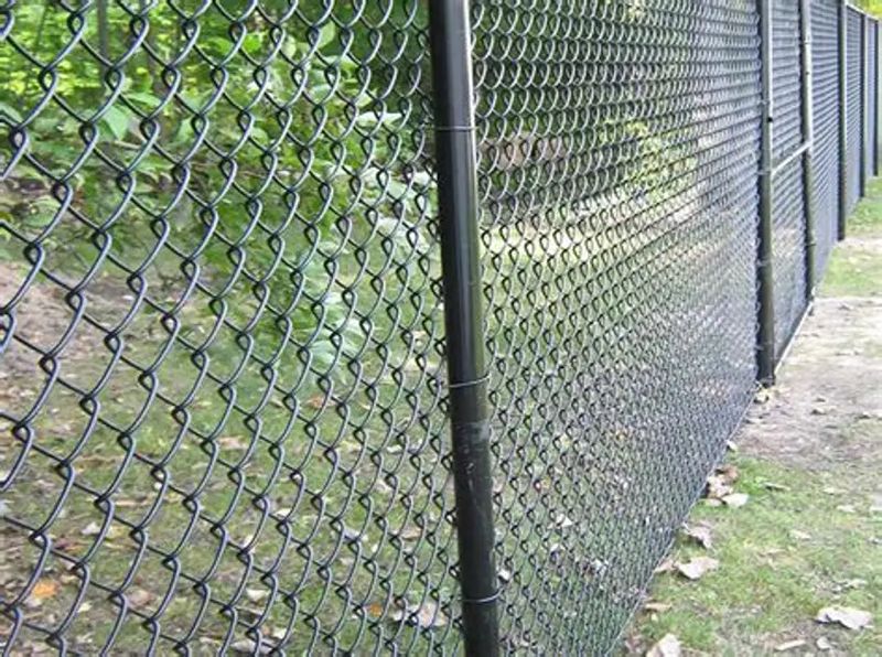 Chain Link Fence
