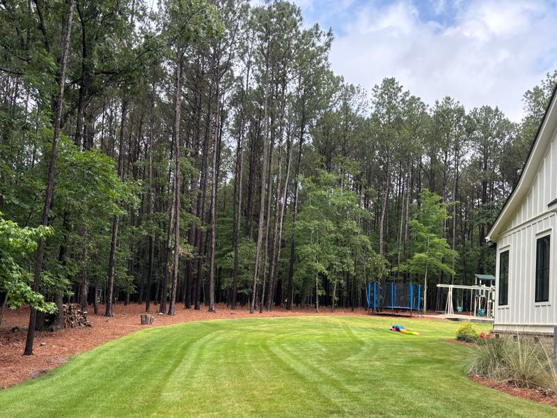 Mulch Installation