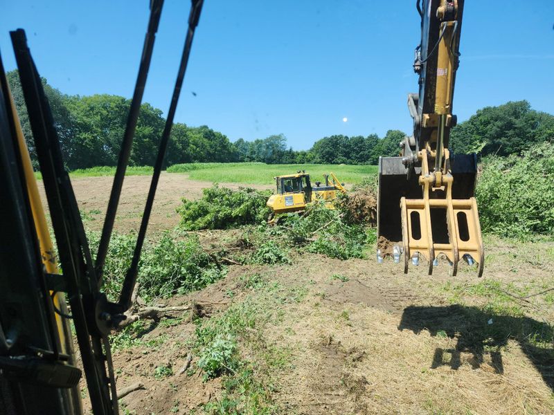 Tree Line Cleanups