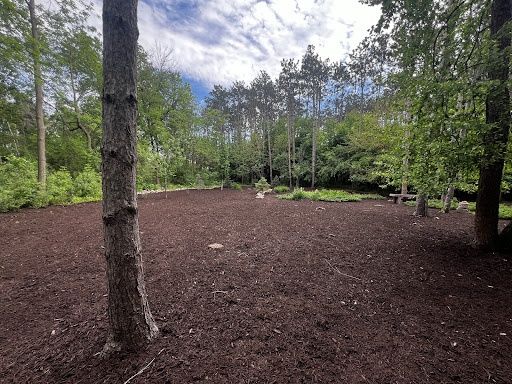 Landscape Design & Installation