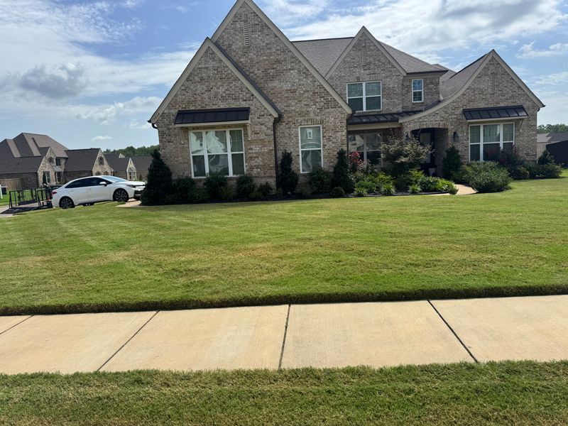 Lawn Mowing
