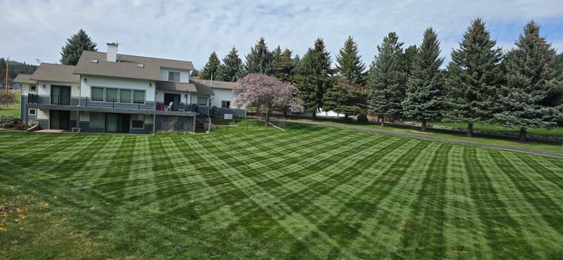 Lawn Maintenance