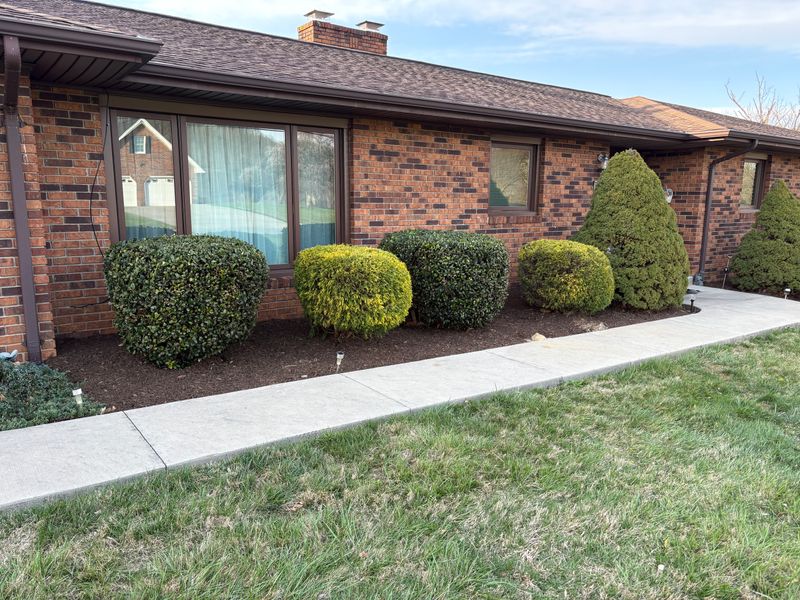 Lawn Maintenance