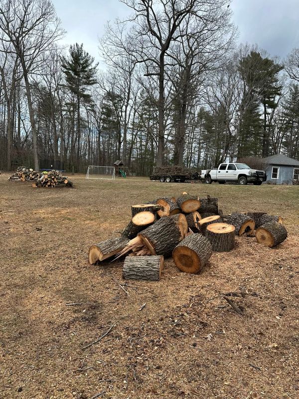 Tree Services