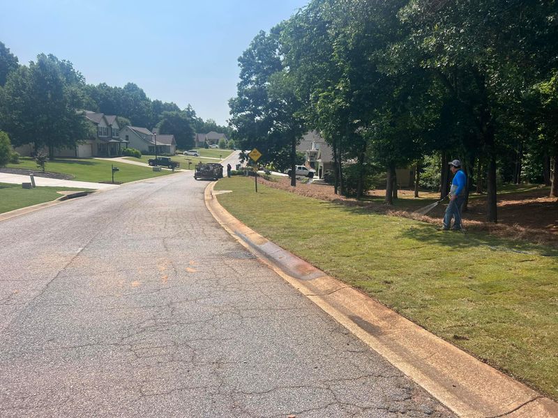🌱 Sod Installation