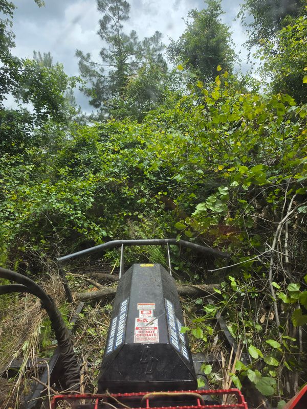 Bush Hogging