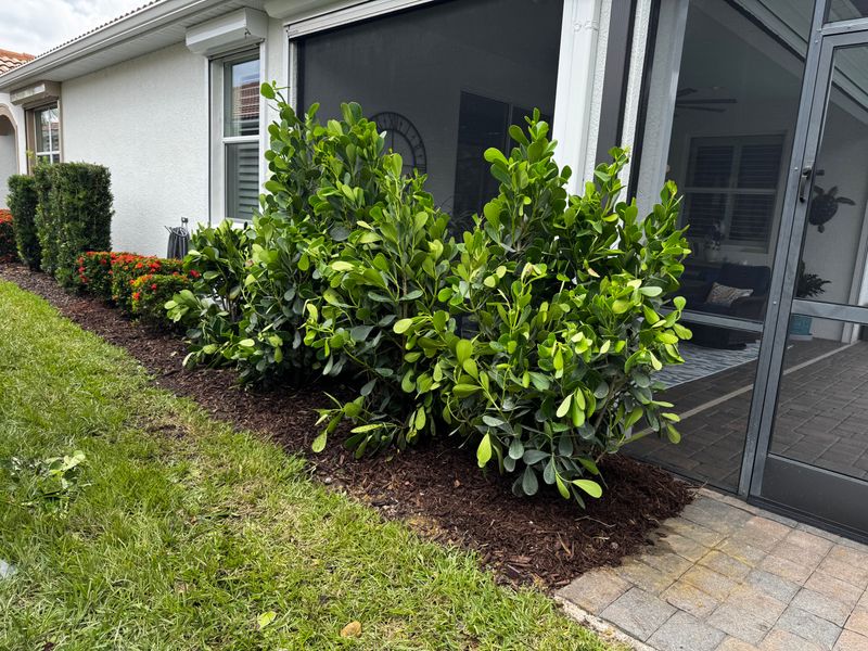 Landscape Design and Construction