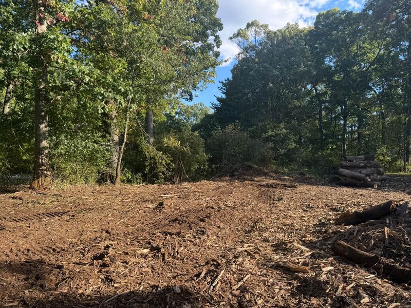 Forestry Mulching