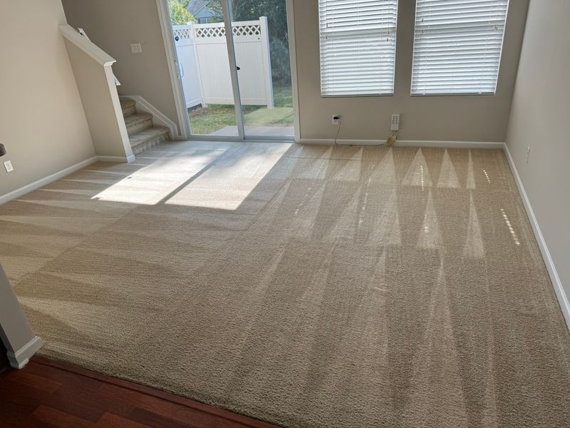Commercial Cleaning