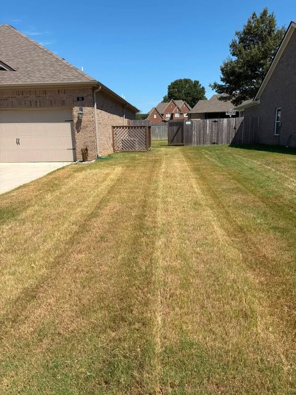 Lawn Maintenance