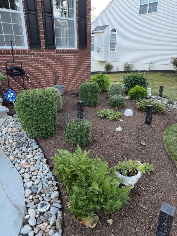Landscape Lighting