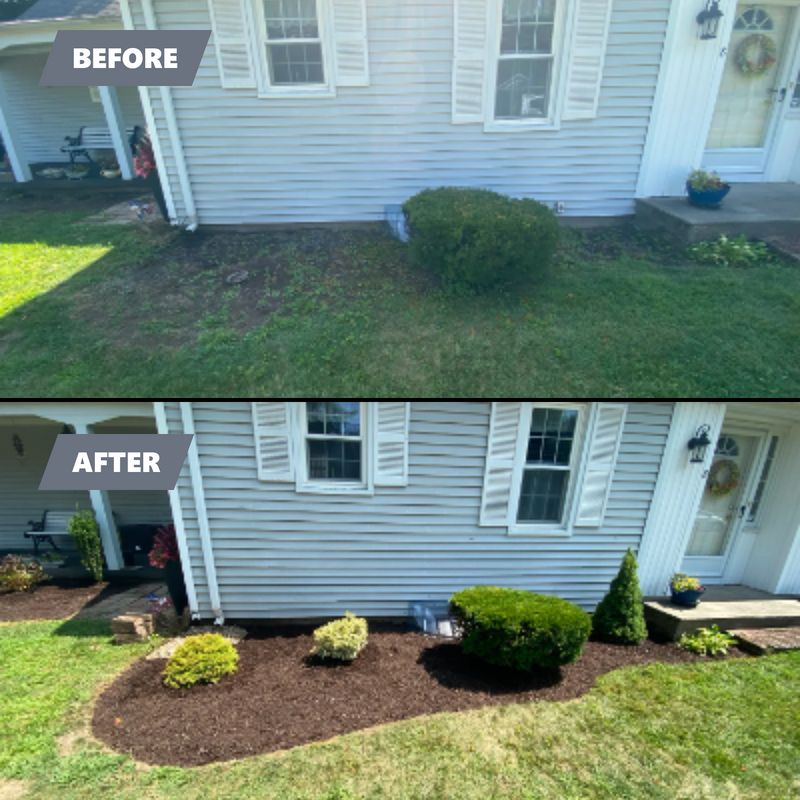 Plant & Shrub Installations