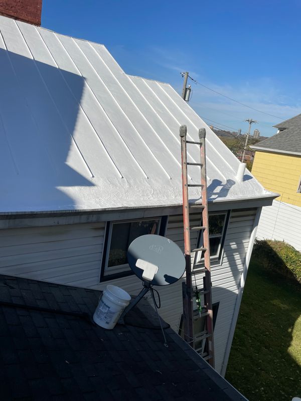 Silicon roof coating