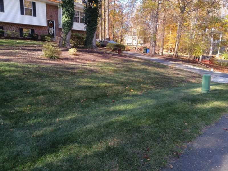 Leaf and Fall Cleanup