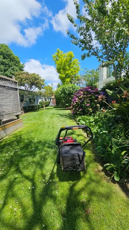Lawn Mowing
