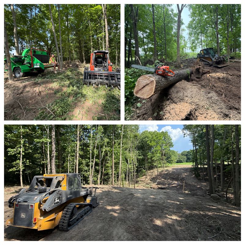 Land Clearing & Demolition