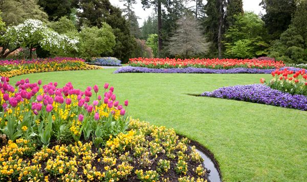 Landscape Design