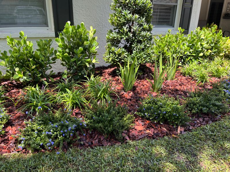 Landscape Design and Installation