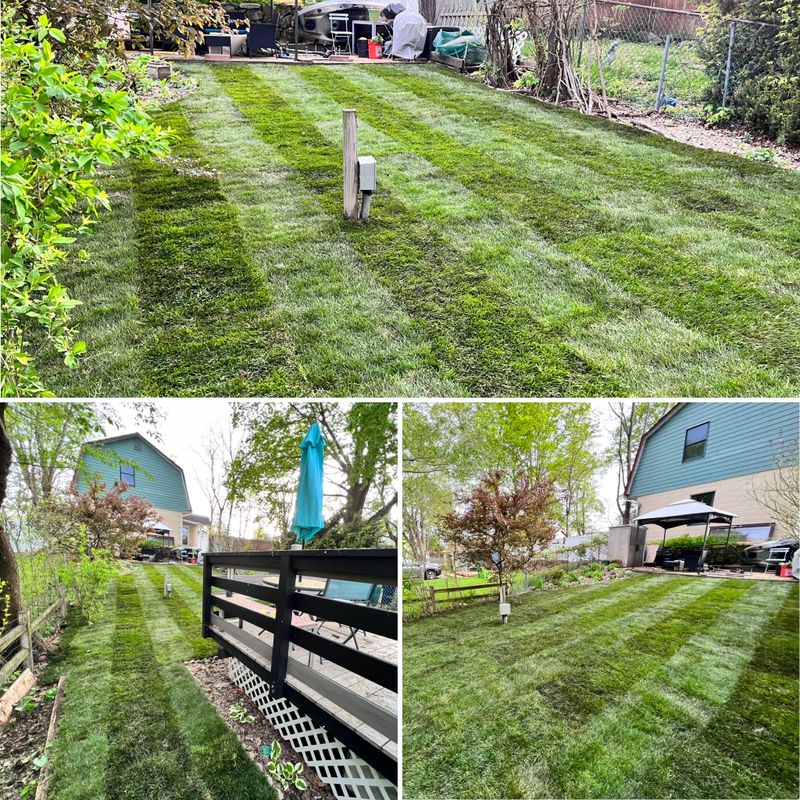 Landscaping