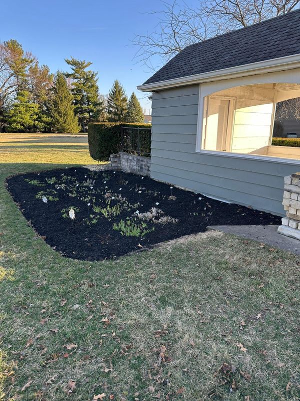 Landscape design