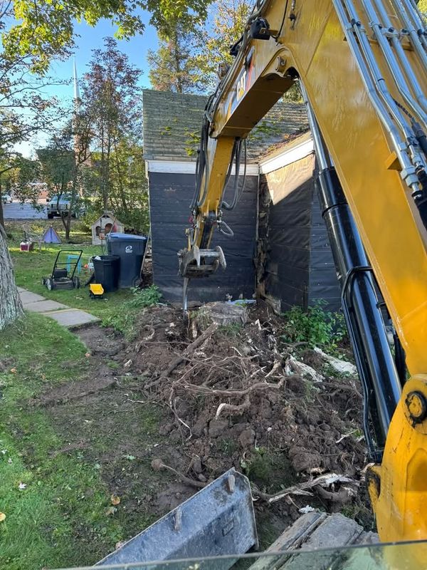 Tree and Vegetation Removal