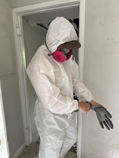 Mold Remediation