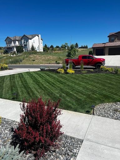 Lawn Maintenance