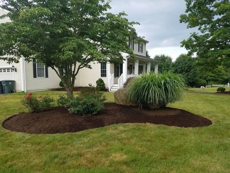 Flowerbeds