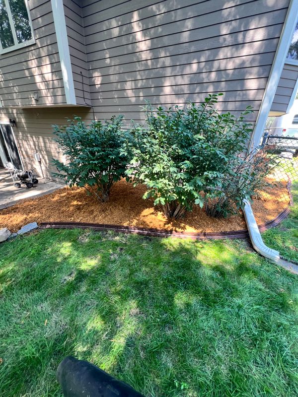 Mulch Installation