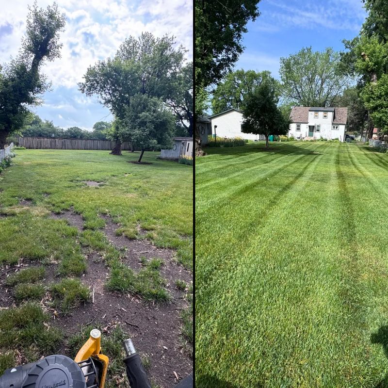 Lawn Maintenance