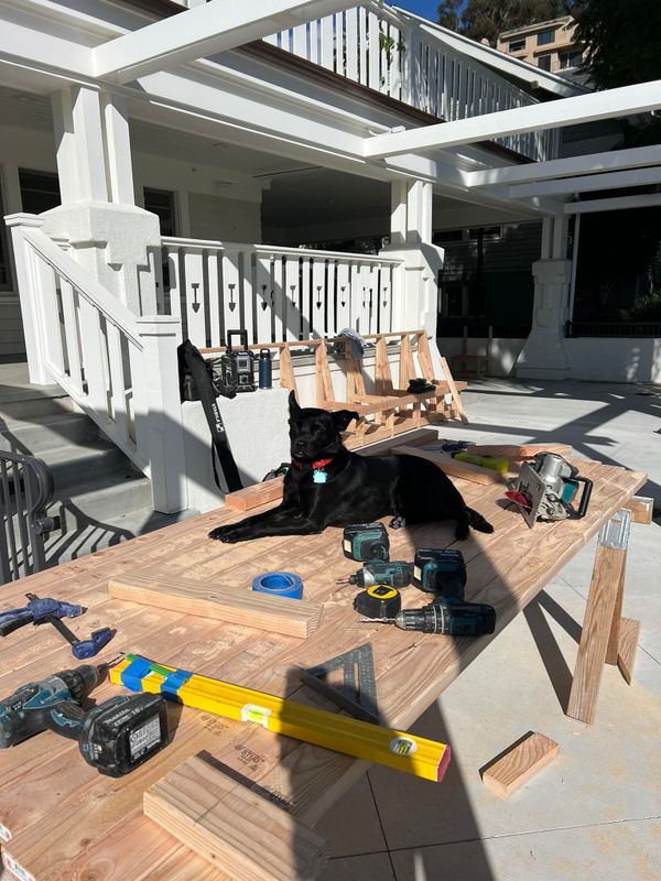 Interior Renovations