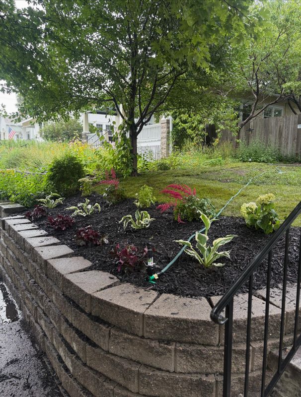 Landscape Design & Installation