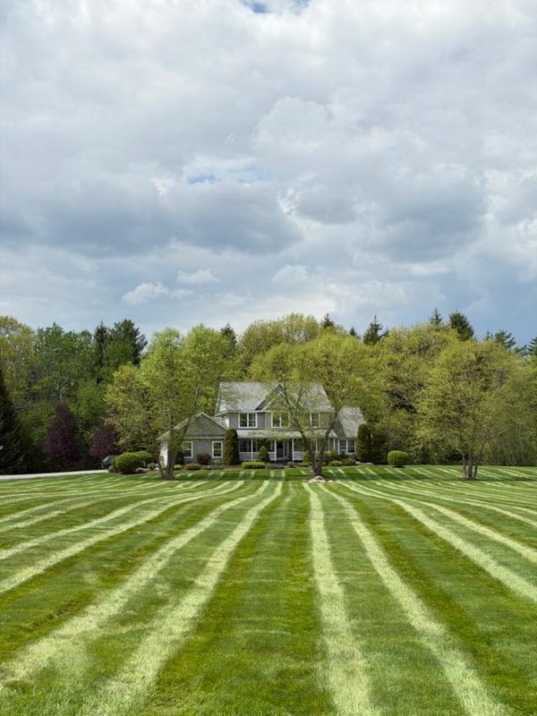 Lawn Maintenance