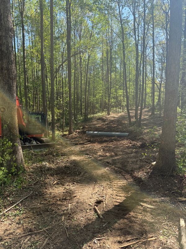 Land Clearing