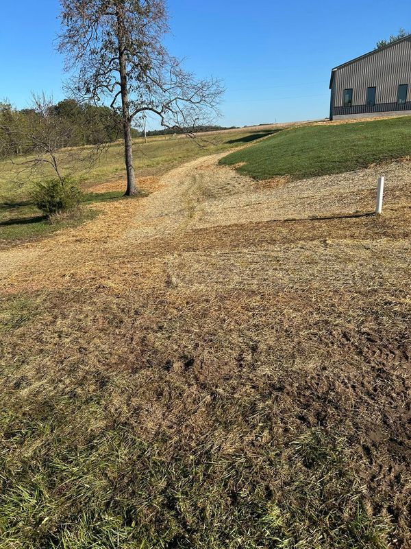 Landscaping & Hardscaping