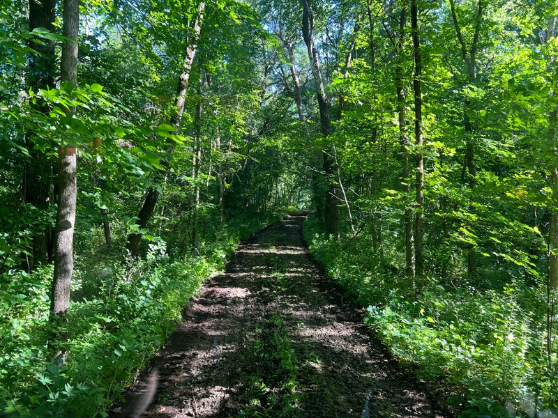 Gravel drivways