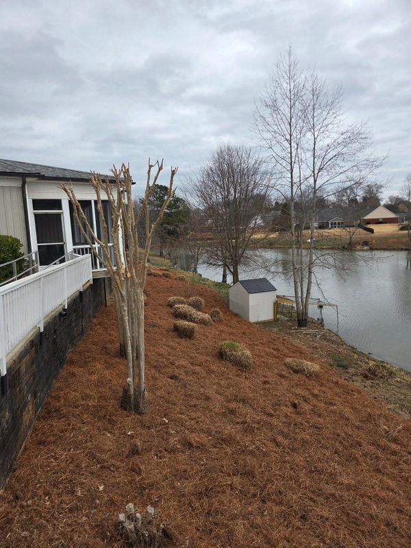 🏢 Commercial Landscape Installation