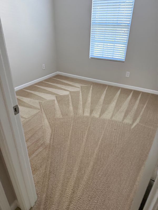 Upholstery Cleaning