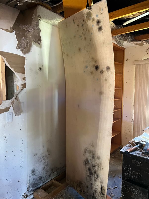 Mold Remediation