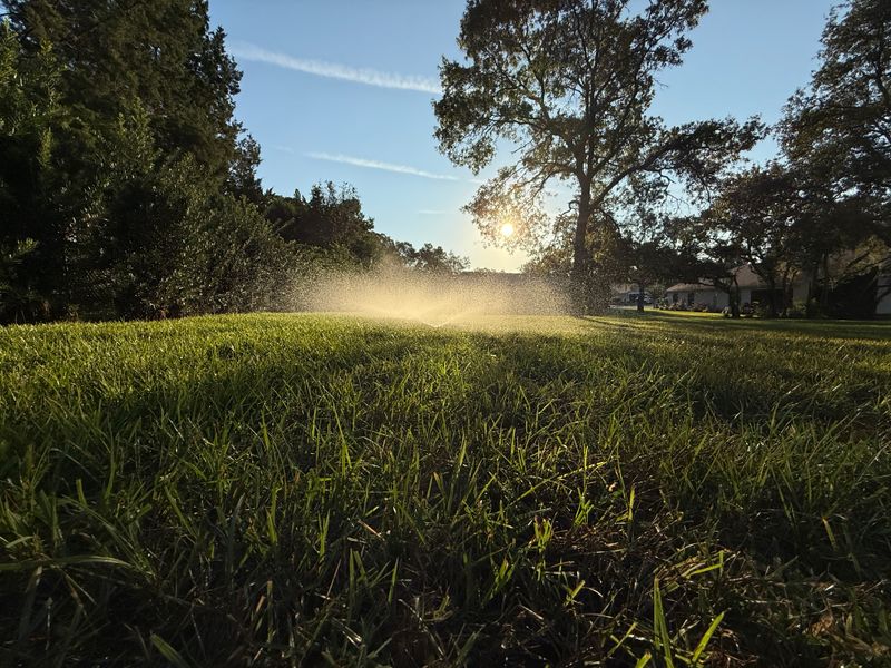 Drip Irrigation Installation and Maintenance