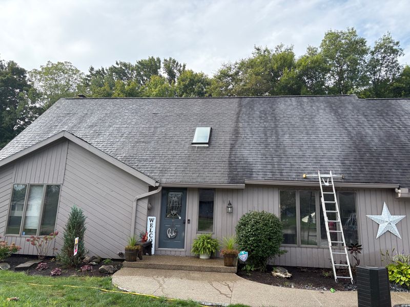 Roof Cleaning