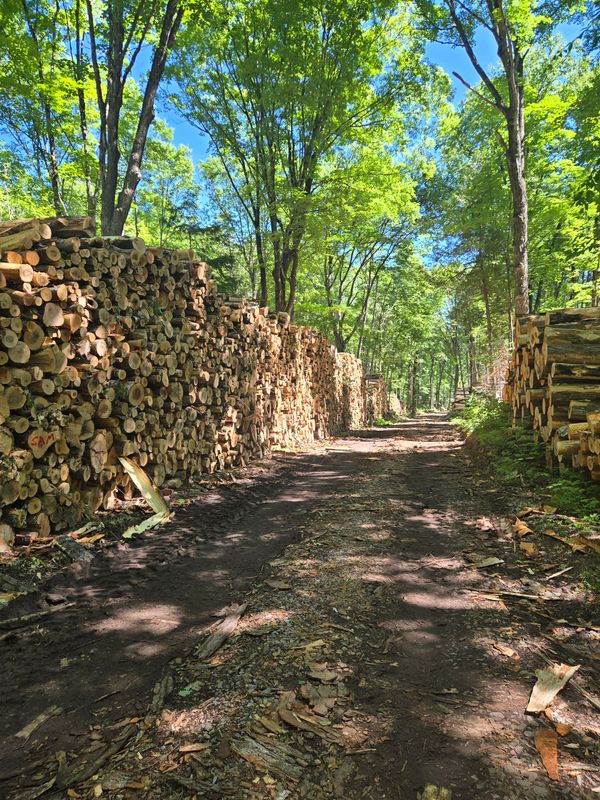 Timber Hauling